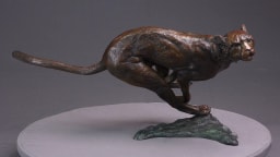 Agression de guépard - vue 1