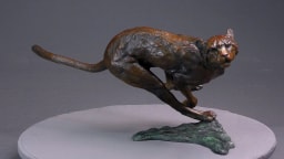 Agression de guépard - vue 2