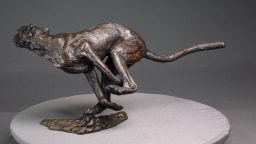 Agression de guépard - vue 3
