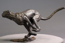 Agression de guépard - vue 4