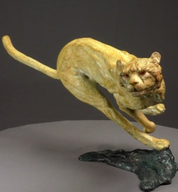 Agression de guépard - vue 7