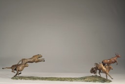 Chasse aux impalas - vue 1