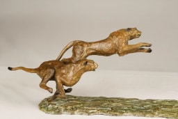 Chasse aux impalas - vue 8