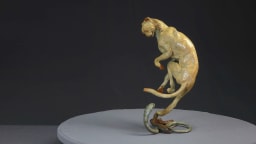 Guépard et cobra - vue 1