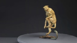 Guépard et cobra - vue 4
