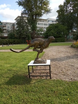 Course libre - vue 5