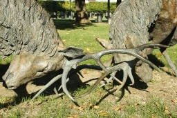 Le choc - vue 4