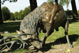 Le choc - vue 6