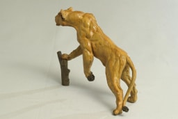 Lionne affamée - vue 8