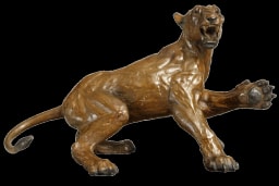 Lionne défensive - vue 3