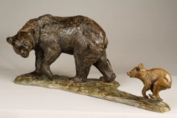 L'ours et son petit - vue 2