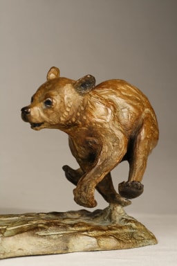 L'ours et son petit - vue 4