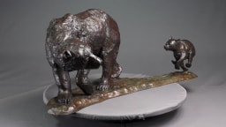 L'ours et son petit - vue 5