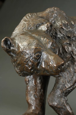 L'ours et son petit - vue 7