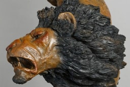 Offensive de lion - vue 4