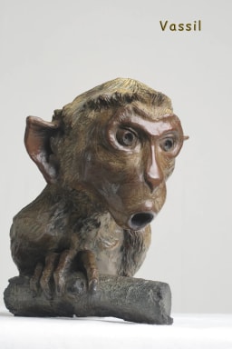 Oh !! - vue 5