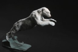 Plongeon - vue 2