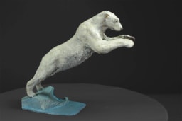 Plongeon - vue 5