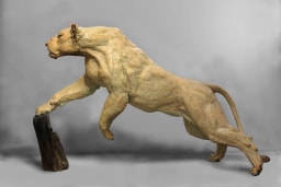 Reprise de la chasse - vue 5