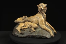 Serengeti - vue 2