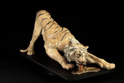 Soif de tigre - vue 1