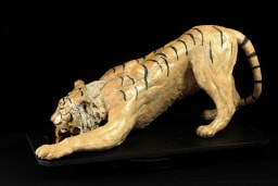 Soif de tigre - vue 2