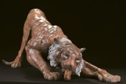 Soif de tigre - vue 5