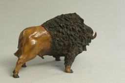 Tatanka - vue 6