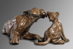 Tendresse - vue 2