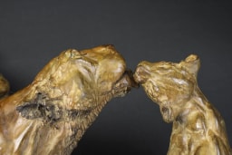 Tendresse - vue 6