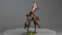 Trois impalas - vue 4