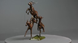 Trois impalas - vue 6