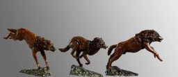 Trois loups en chasse - vue 2