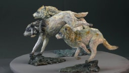 Trois loups en chasse - vue 5