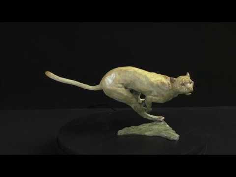 Wimba