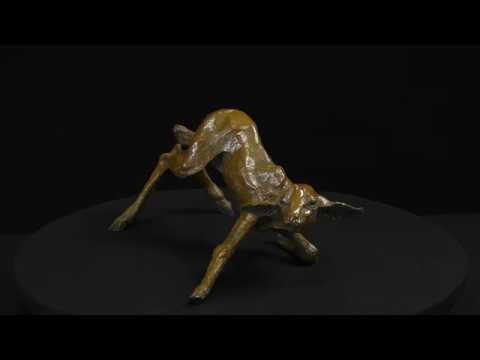Naissance d'impala