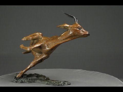 Affolement de gazelle