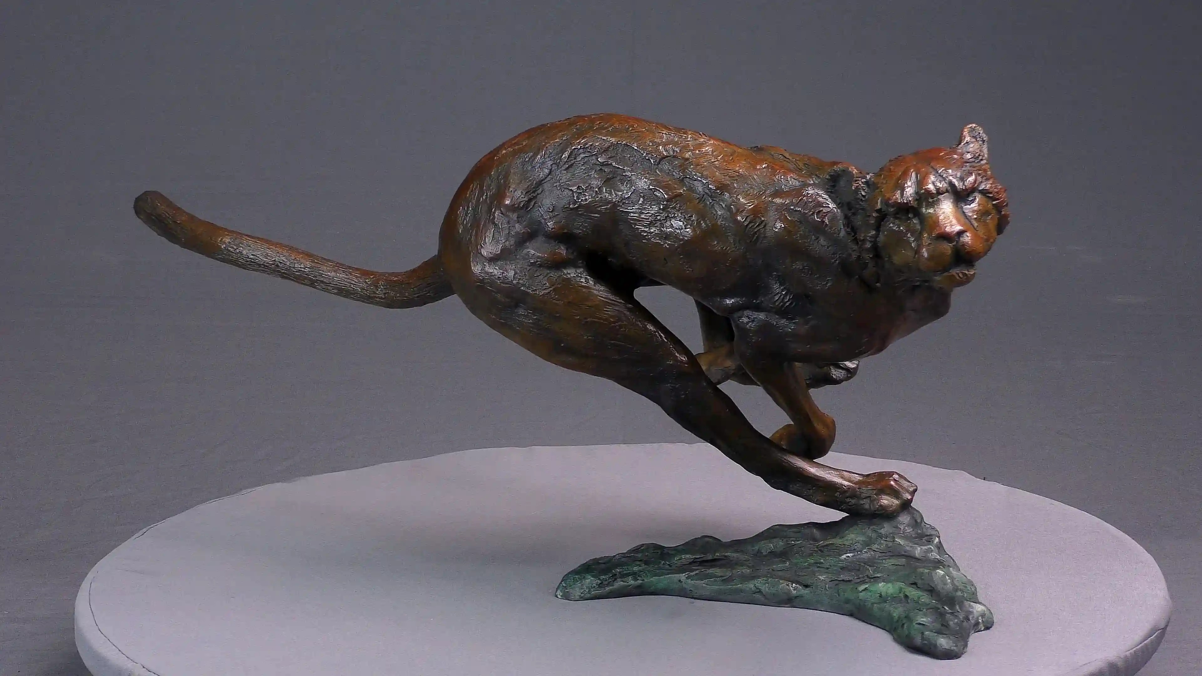Agression de guépard — vue 2