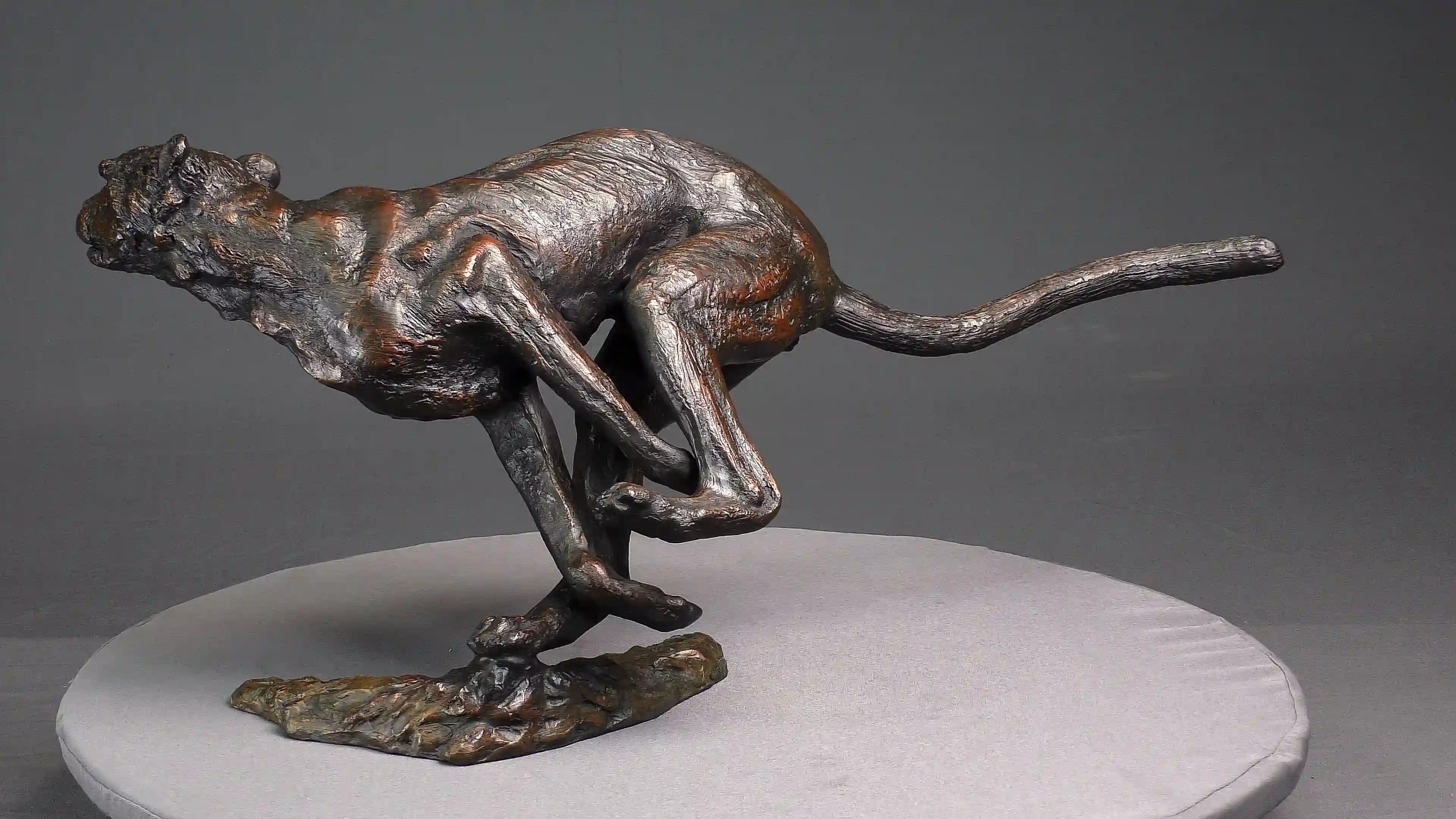 Agression de guépard — vue 3