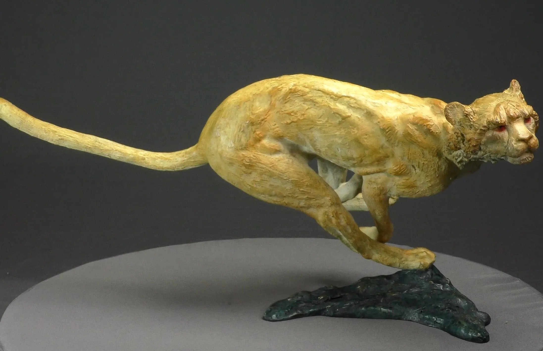 Agression de guépard — vue 6
