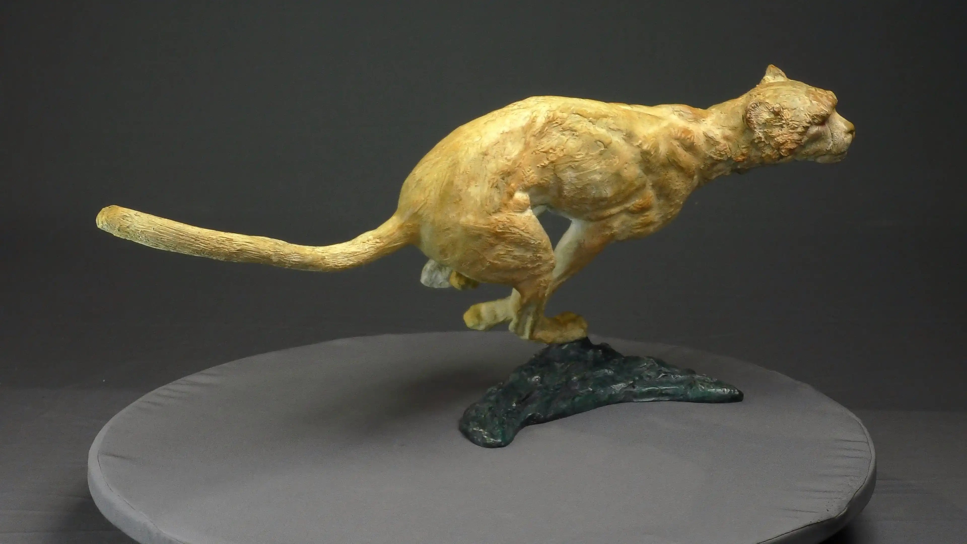 Agression de guépard — vue 8