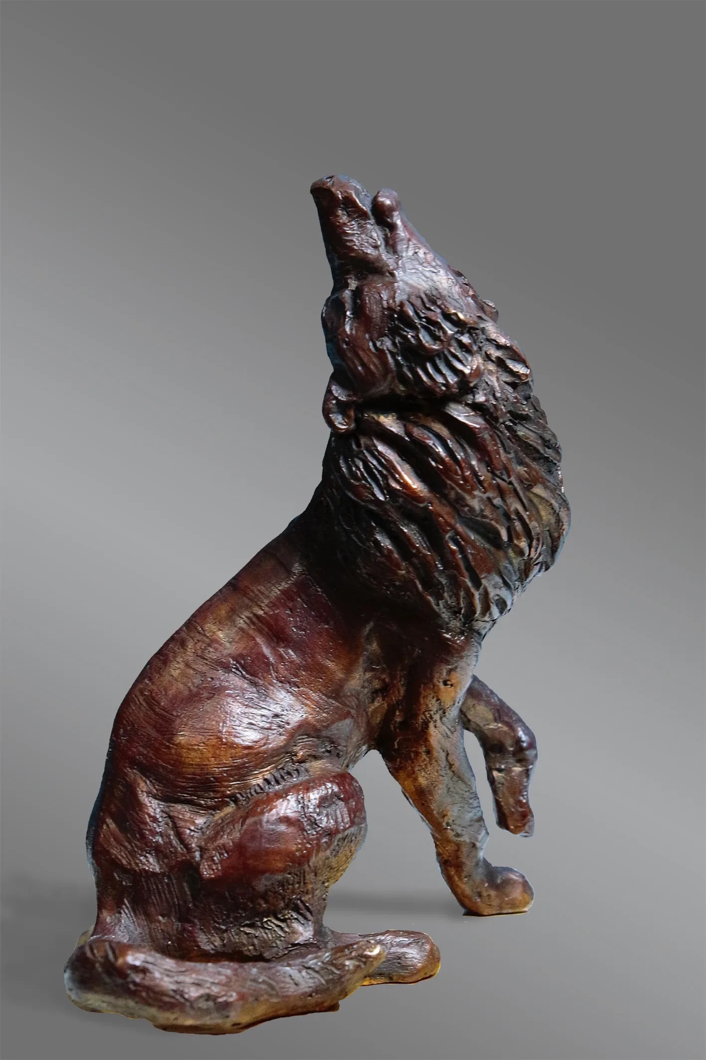 L'appel du loup — vue 1