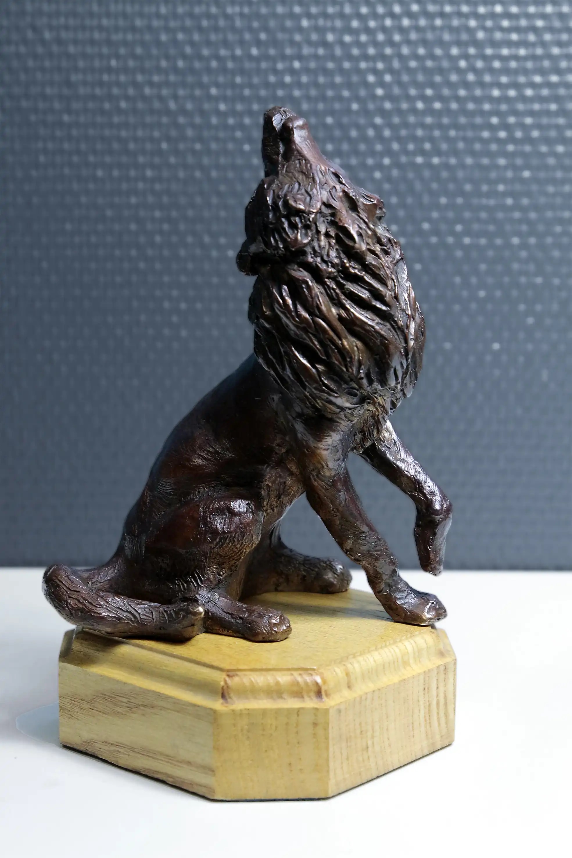 L'appel du loup — vue 2