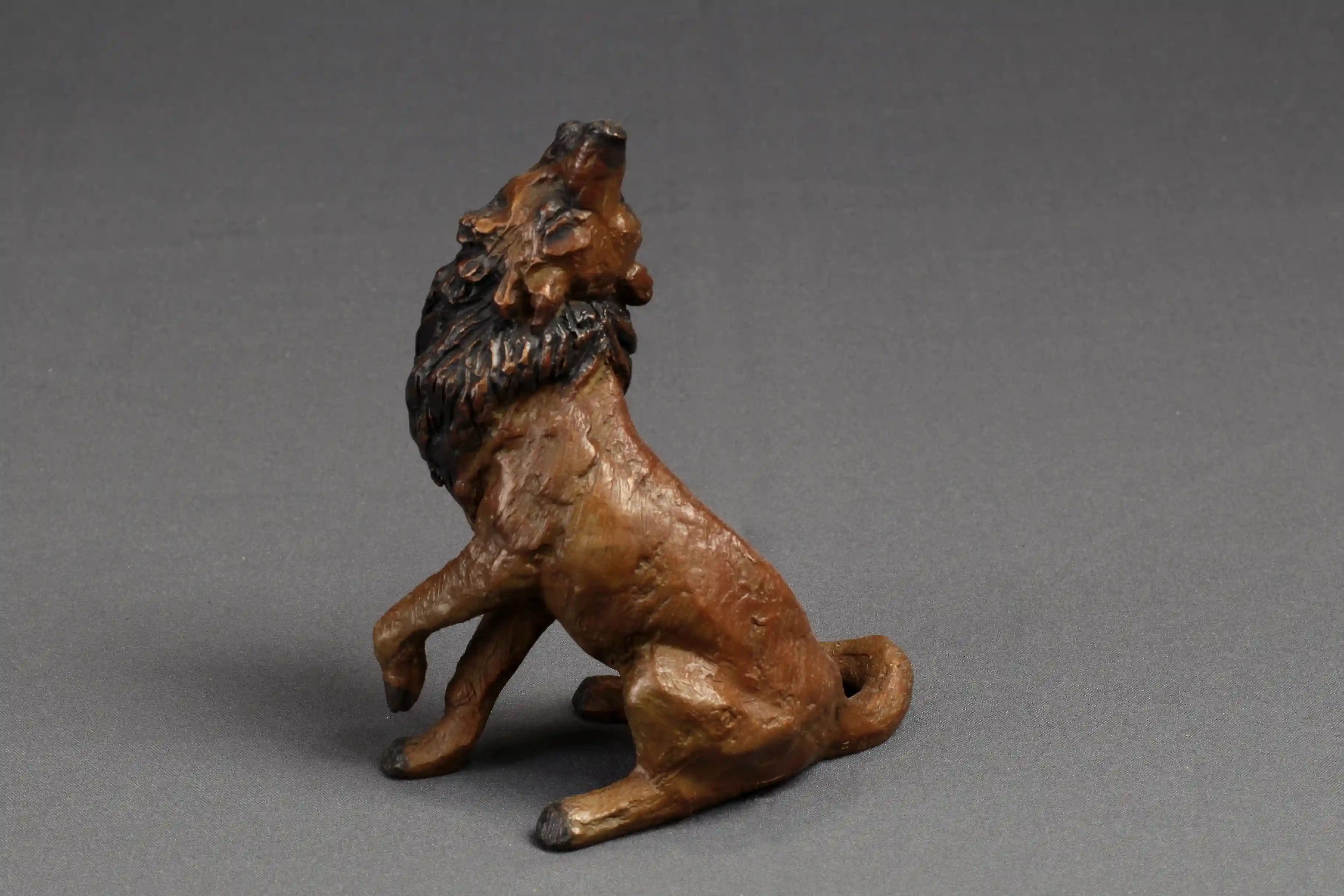L'appel du loup — vue 5