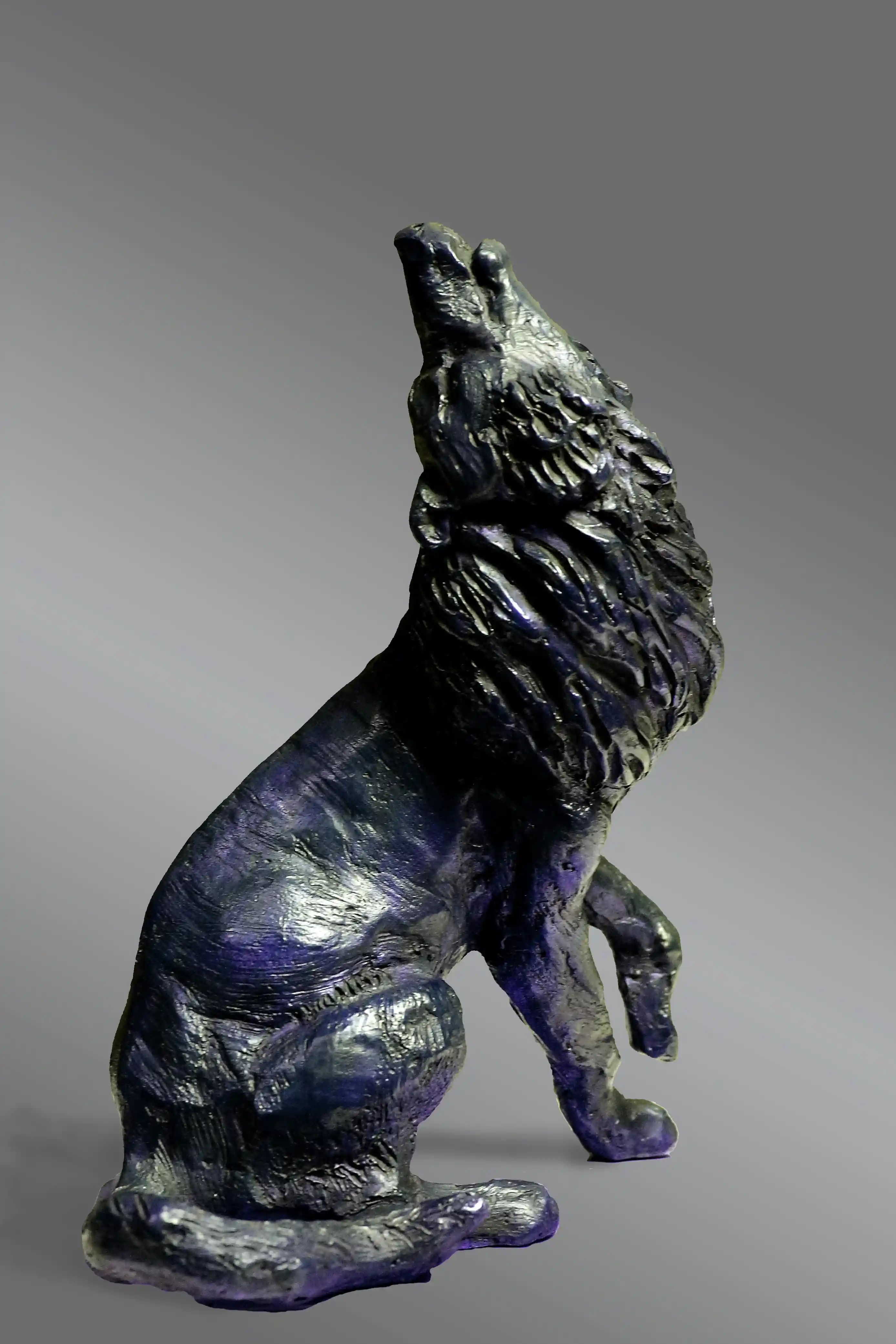 L'appel du loup — vue 6