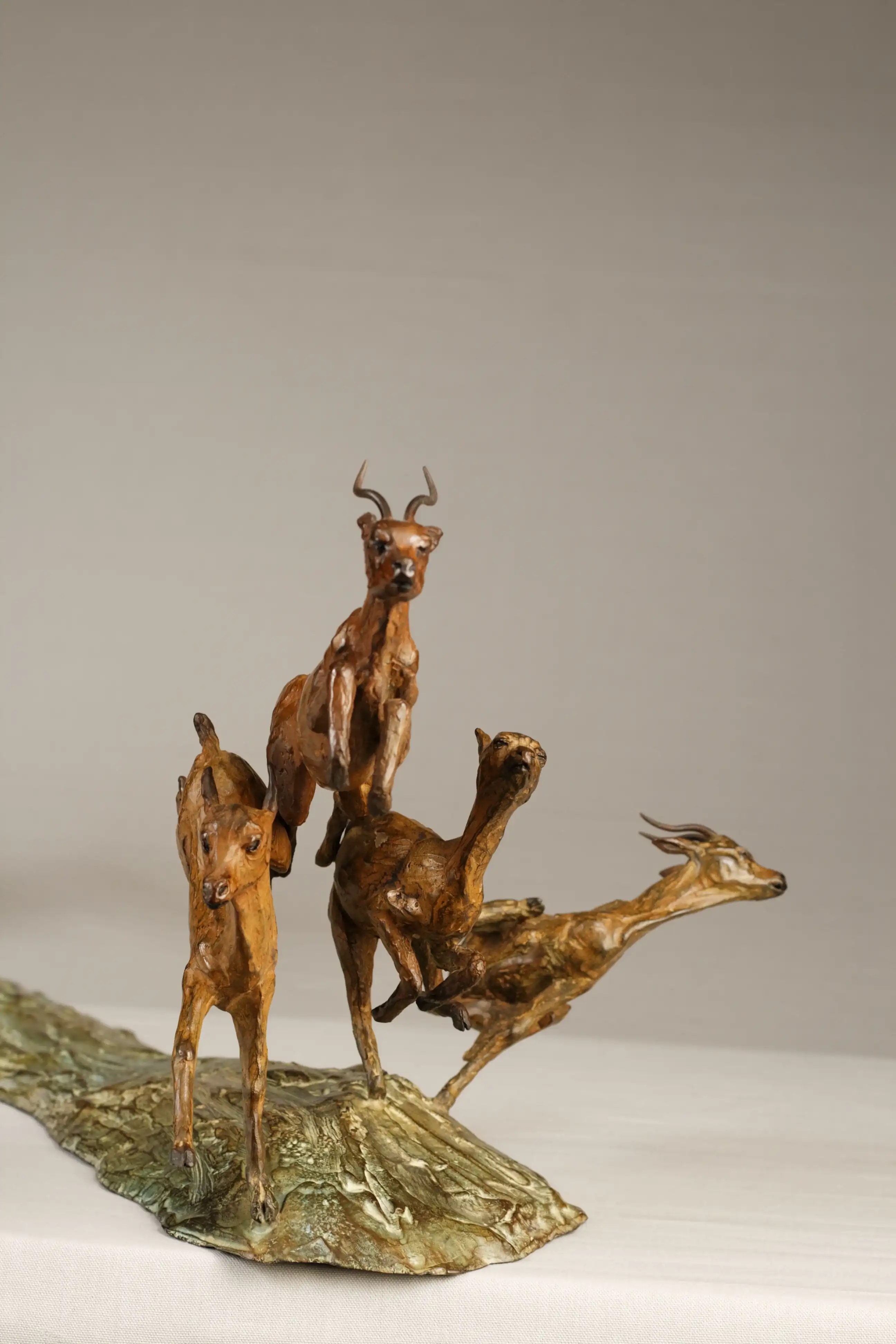 Chasse aux impalas — vue 4