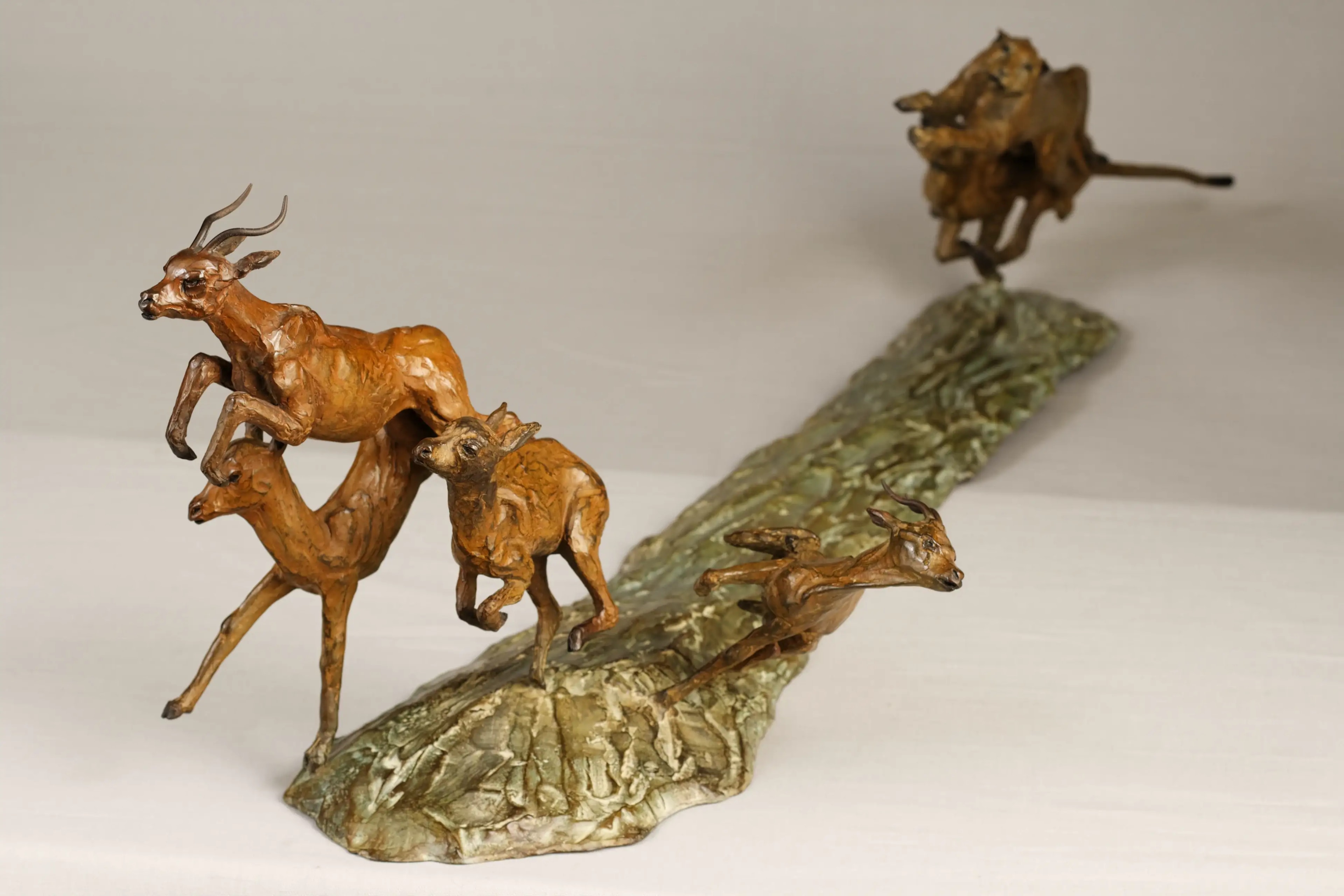 Chasse aux impalas — vue 5