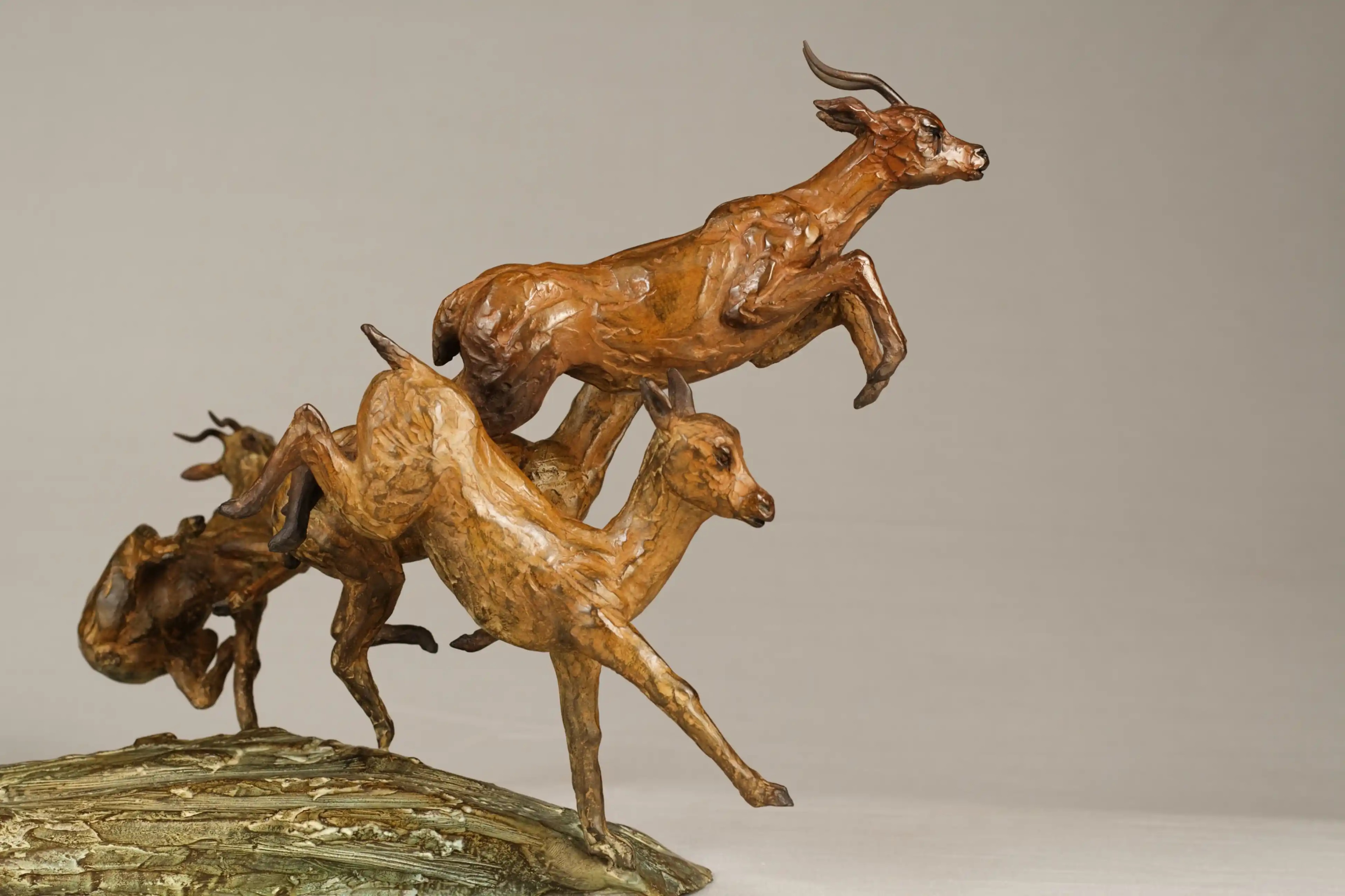 Chasse aux impalas — vue 7