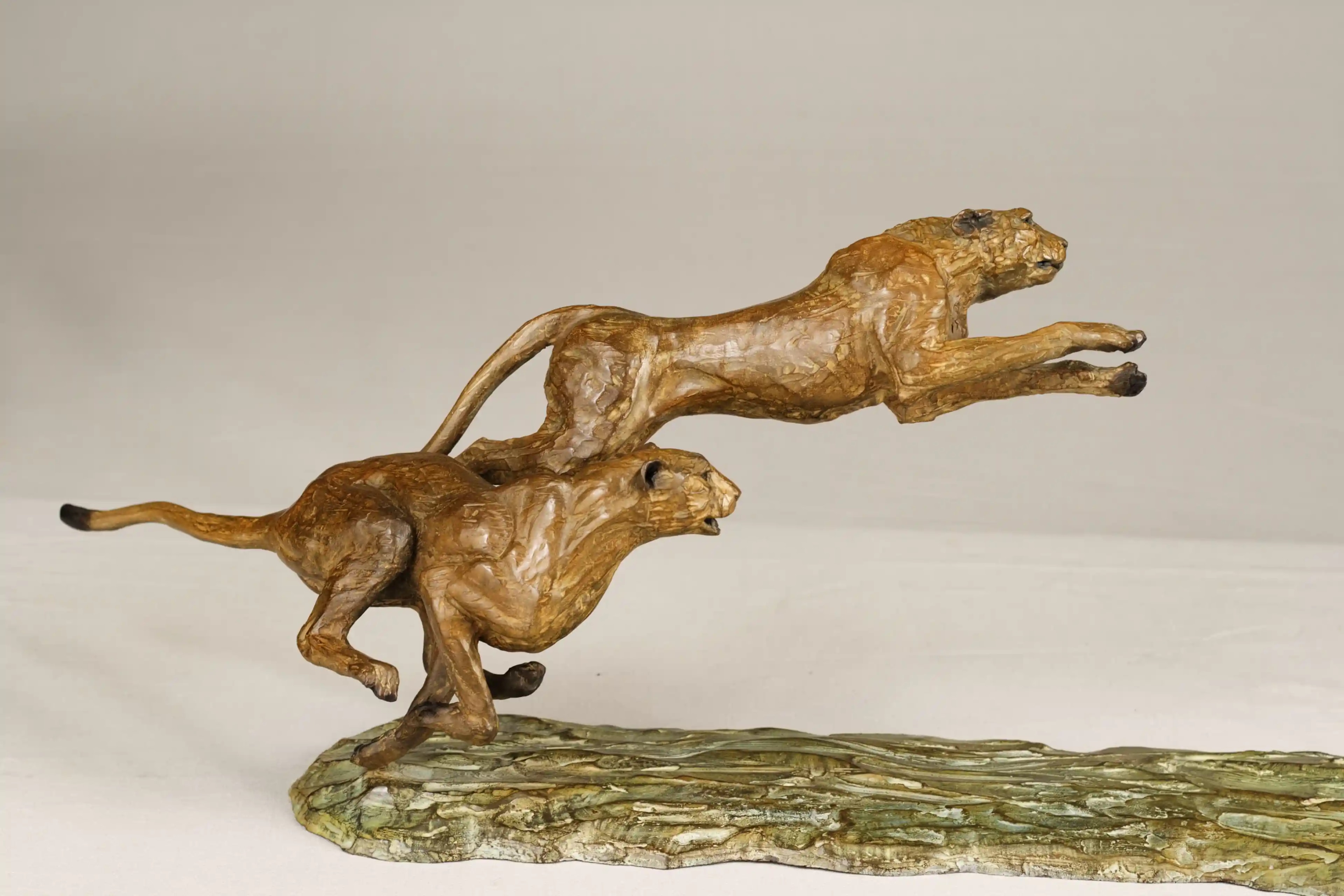 Chasse aux impalas — vue 8