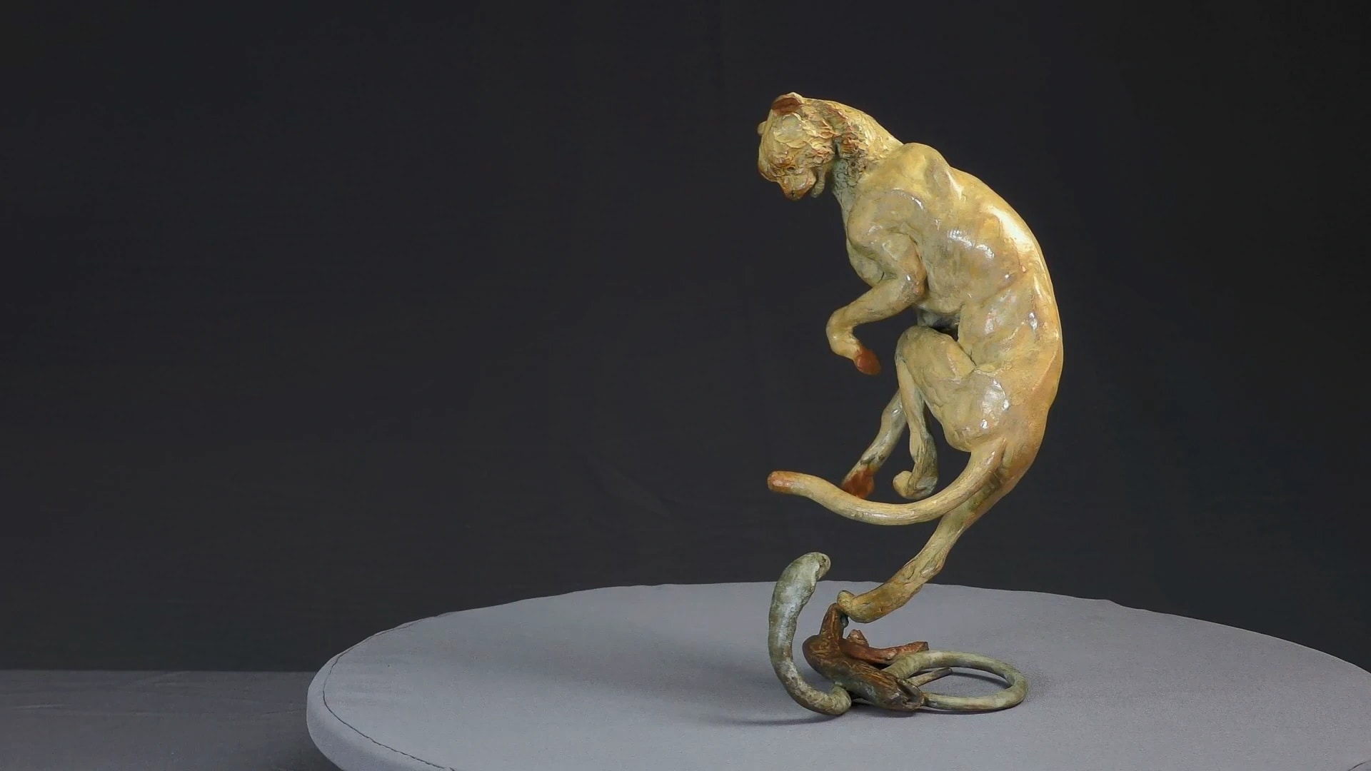 Guépard et cobra — vue 1